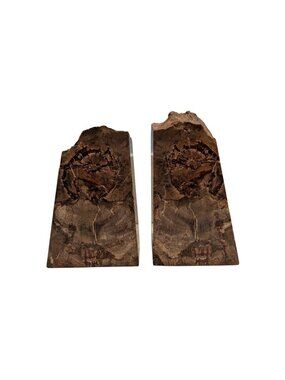 Petrified Wood Bookends Fossilized Tree Rings Natural Mineral Patterns 6" Rustic